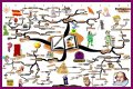 An Interpretation of Shakespeare's Comic Tools