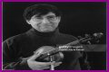 David Shapiro (musician)
