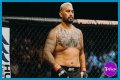 Mark Hunt - Bio, Age, weight, height, Wiki, Facts and Family
