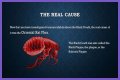 What Really Caused the Black Death: Anthrax or Celestial Bodies?