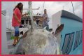 Who has the most expensive boat on Wicked Tuna?