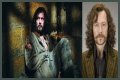 Why is Sirius Black a wolf? – Celebrity.fm – #1 Official Stars, Business & People Network, Wiki, Success story, Biography & Quotes